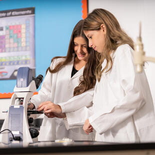 Image_Colegio Menor _Sambo_240