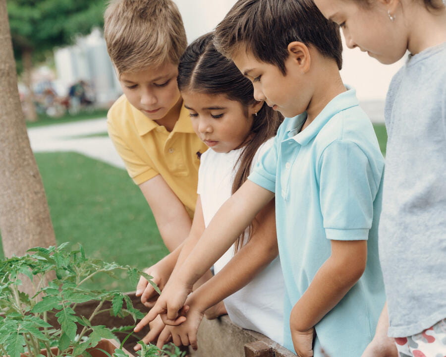 Admisiones | Colegio Menor Samborondón | Nord Anglia - Image-50-50