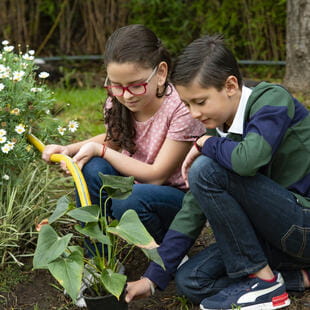 International School Quito | Colegio Menor Quito - 05Feature Cards Pattern