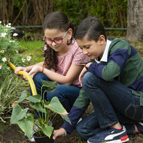 Actividades extracurriculares | Colegio Menor Quito - Small Text And Image