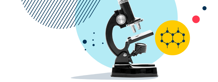 Colegio Menor - Colegio bilingüe en Ecuador | Nord Anglia - Image-50-pattern